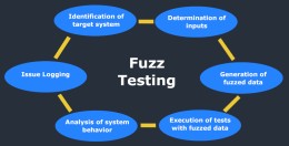 Fuzz Testing