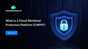 What is a Cloud Workload Protection Platform