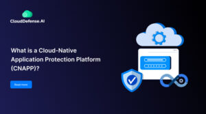 What is a Cloud-Native Application Protection Platform (CNAPP)