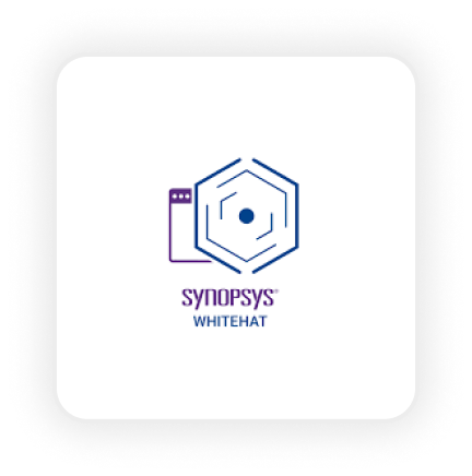 Synopsys WhiteHat Dynamic​