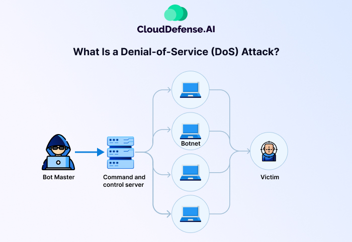 What Is a Denial-of-Service (DoS) Attack?