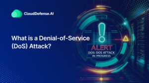 What is a Denial of Service (DoS) Attack