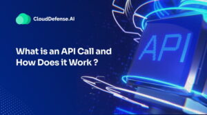 What is an API Call and How Does it Work