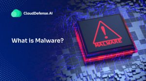 What is Malware